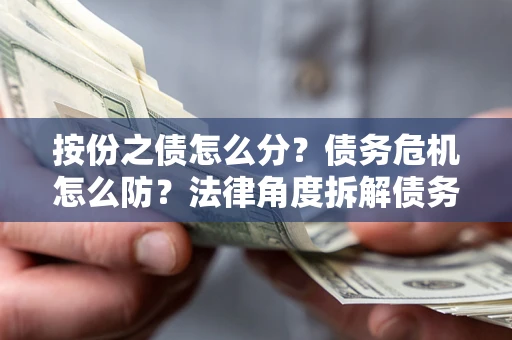 武汉按份之债怎么分？债务危机怎么防？法律角度拆解债务分配与风险自保指南