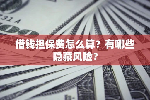 武汉借钱担保费怎么算？有哪些隐藏风险？
