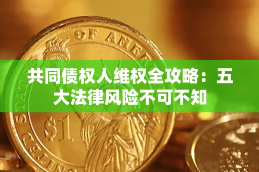 武汉共同债权人维权全攻略：五大法律风险不可不知