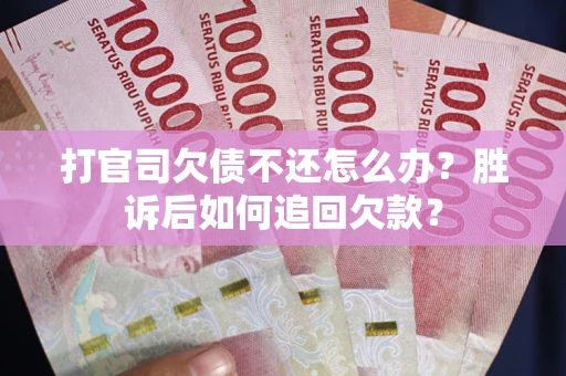 武汉打官司欠债不还怎么办？胜诉后如何追回欠款？