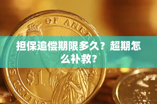 武汉担保追偿期限多久？超期怎么补救？