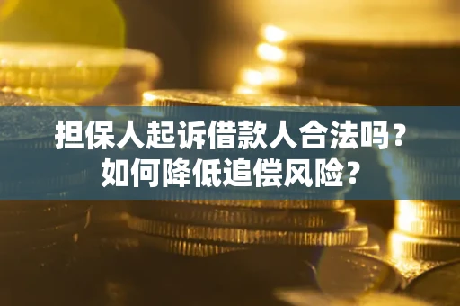武汉担保人起诉借款人合法吗？如何降低追偿风险？