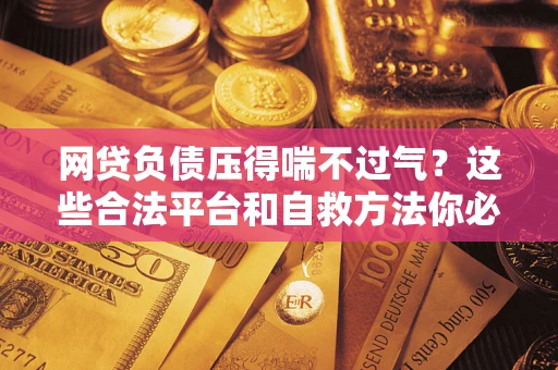 武汉网贷负债压得喘不过气？这些合法平台和自救方法你必须知道！