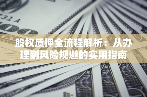 武汉股权质押全流程解析：从办理到风险规避的实用指南
