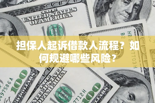 武汉担保人起诉借款人流程？如何规避哪些风险？