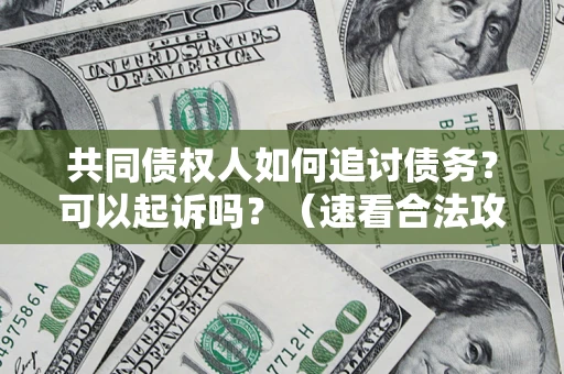 武汉共同债权人如何追讨债务？可以起诉吗？（速看合法攻略）