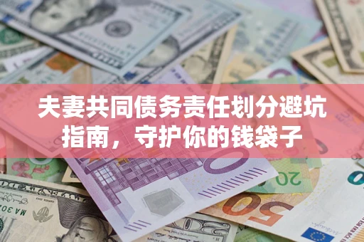 武汉夫妻共同债务责任划分避坑指南，守护你的钱袋子