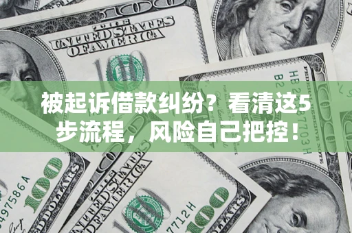 武汉被起诉借款纠纷？看清这5步流程，风险自己把控！