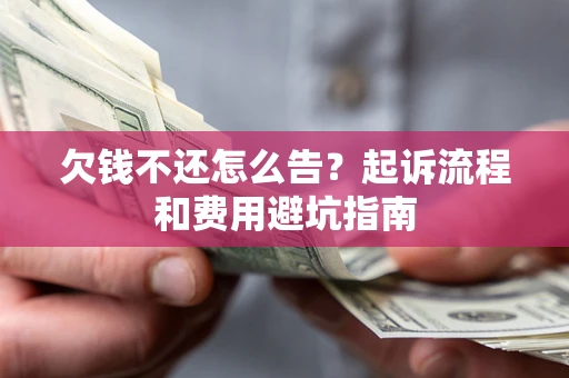 武汉欠钱不还怎么告?起诉流程和费用避坑指南 武汉欠钱不还怎么告?起诉流程和费用避坑指南