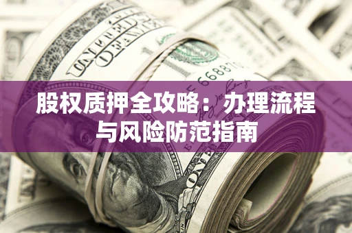 武汉股权质押全攻略：办理流程与风险防范指南