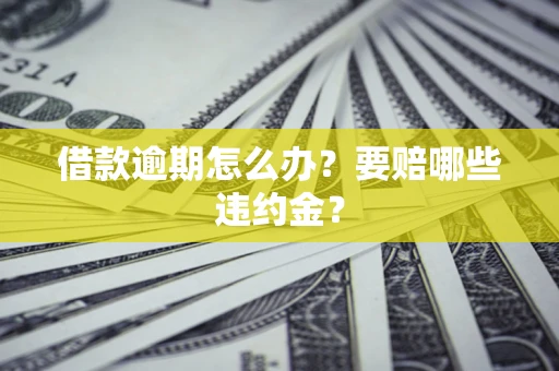 武汉借款逾期怎么办？要赔哪些违约金？