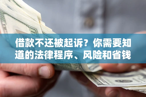 武汉借款不还被起诉？你需要知道的法律程序、风险和省钱技巧