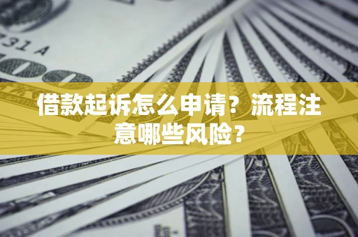 武汉借款起诉怎么申请？流程注意哪些风险？